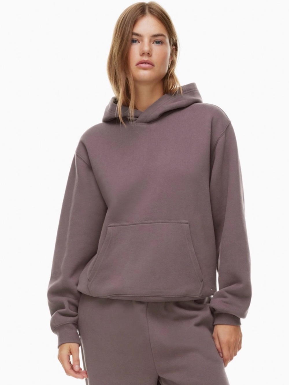 Aritzia Cozy Sweatfleece Perfect Pullover Hoodie in Mauve Size XS